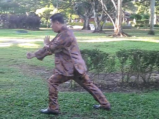 Wu Chuan You Style Taijiquan